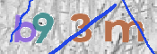 Imagen anti-spam
